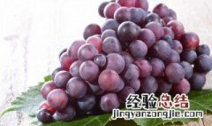 玫瑰香葡萄酒的做法窍门 玫瑰香葡萄酒的做法