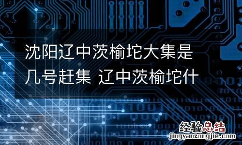 沈阳辽中茨榆坨大集是几号赶集 辽中茨榆坨什么时候是集