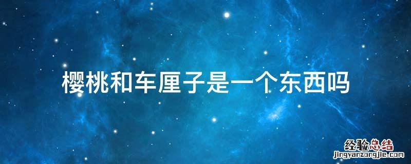 樱桃和车厘子是一个东西吗 大樱桃和车厘子是一个东西吗