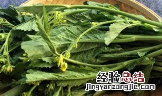芥菜苔怎么做好吃又嫩 菜苔怎么做简单好吃