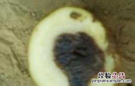 马铃薯黑心原因及防止措施 马铃薯黑心是什么原因