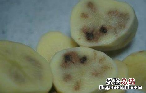 马铃薯黑心原因及防止措施 马铃薯黑心是什么原因