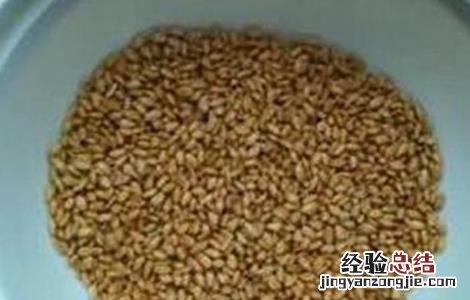 蔬菜种子催芽注意事项 蔬菜种子催芽注意事项有哪些