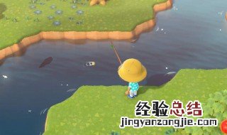 动物森友会石头碎了多久刷新 动物森友会石头碎了