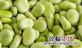蚕豆炖牛肉的做法大全 牛肉蚕豆汤怎么做