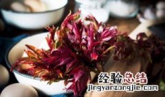 孕妇能吃香椿吗前三个月 孕妇能吃香椿吗