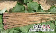 牛蒡的功效与作用及食用方法视频 牛蒡的功效与作用及食用方法