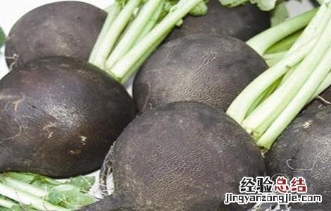 萝卜黑心黑皮的防治方法视频 萝卜黑心黑皮的防治方法