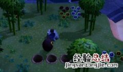 动物森友会如何快速获得铁矿 动物森友会铁矿石快速获取方法