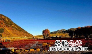 稻城在哪个省哪个市 稻城在哪个省哪个市坐火车