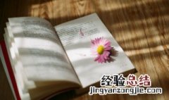 理解词语的方法有哪些 理解词语的方法