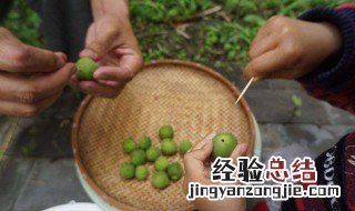 青梅扎孔 妙招青梅扎洞