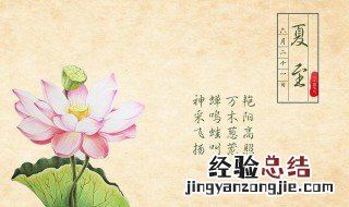 夏至意味着 夏至隐含意思