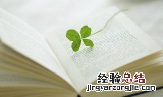 壮部首怎么读叫什么部 壮的部首怎么读