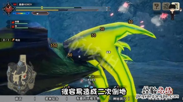 怪物猎人崛起密林地图有哪些彩蛋 怪物猎人gu密林