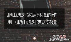 爬山虎对家居环境的作用有哪些 爬山虎对家居环境的作用