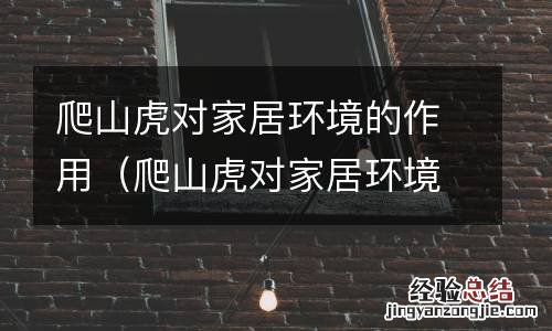 爬山虎对家居环境的作用有哪些 爬山虎对家居环境的作用