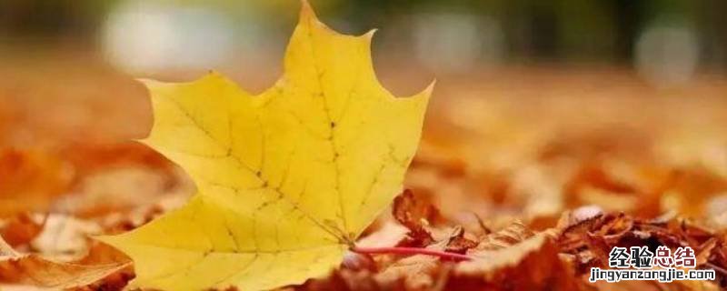 立秋后晚上睡觉能开窗吗 立秋后晚上可以开窗户睡觉吗