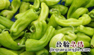 酸辣青椒怎么做 酸辣青椒怎么做才好吃