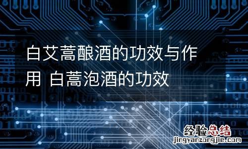 白艾蒿酿酒的功效与作用 白蒿泡酒的功效