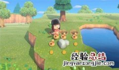 动物森友会如何快速获得铁矿 动物森友会铁矿石在哪怎么刷