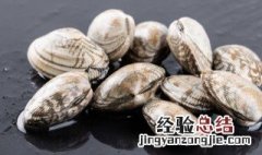 酒蒸蛤蜊的做法深夜食堂
