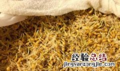 麦牙精的功效使用方法 麦牙精的功效使用方法图片