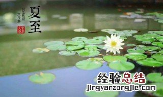 夏至有什么活动 夏至节气的活动