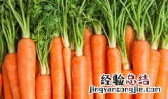 萝卜香菜丸子的做法窍门 香菜胡萝卜丸子的做法
