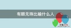 有眼无珠一般形容什么 有眼无珠比喻什么人