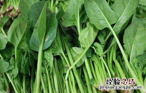 冬天菠菜如何长期保存 冬天菠菜如何长期保存好