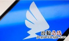 钉钉里面视频会议可以回放吗 钉钉视频会议中可以播放视频吗