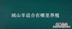 绒山羊的养殖 绒山羊适合在哪里养殖