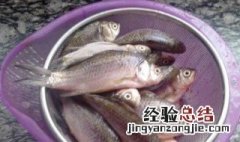 香酥孜然衸暧阍趺醋觯ㄏ闼肿稳恍■暧阍趺醋龅模?