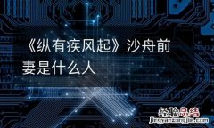 《纵有疾风起》沙舟前妻是什么人