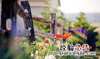 三月唯美语录短 三月唯美语录