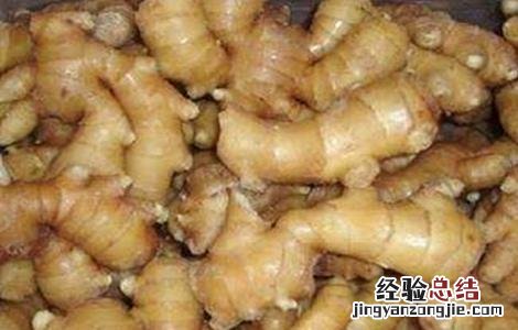 生姜如何留种子视频 生姜如何留种