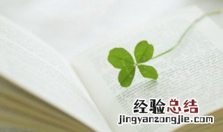 自的组词 自的组词一年级