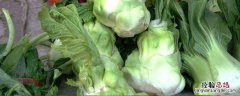 榨菜种植时间和方法 榨菜种植在几月份及种植方法