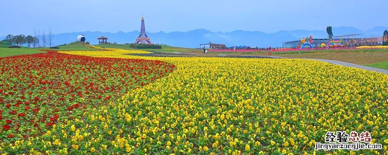 休闲农业是什么 休闲农业是什么?