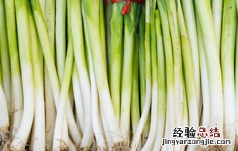 大葱葱白短的解决方法 大葱咋样让葱白长的长