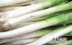 大葱葱白短的解决方法 大葱咋样让葱白长的长