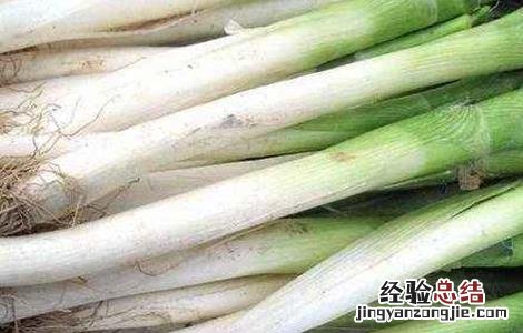 大葱葱白短的解决方法 大葱咋样让葱白长的长