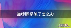 猫咪脚掌皮破了 猫咪脚掌破了怎么办