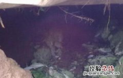 大白菜冬季窖藏管理方法有哪些 大白菜冬季窖藏管理方法