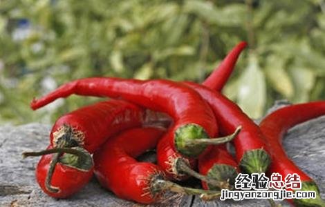 辣椒歇伏原因及防治方法 辣椒倒伏怎么处理