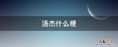 汤杰是什么梗 汤杰什么梗