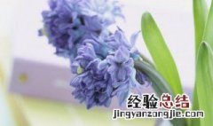 饬怎么读 饰怎么读