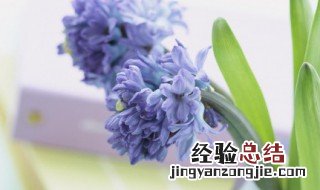 饬怎么读 饰怎么读