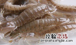 虾爬子什么季节最肥最好吃 虾爬子什么季节最肥